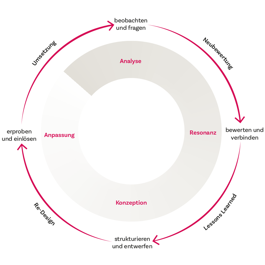 Leadership Development, Analyse, Resonanz, Konzeption, Anpassung